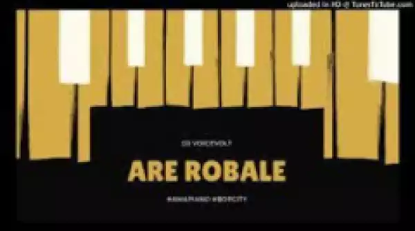 Dj Voicevolt - Are Robale